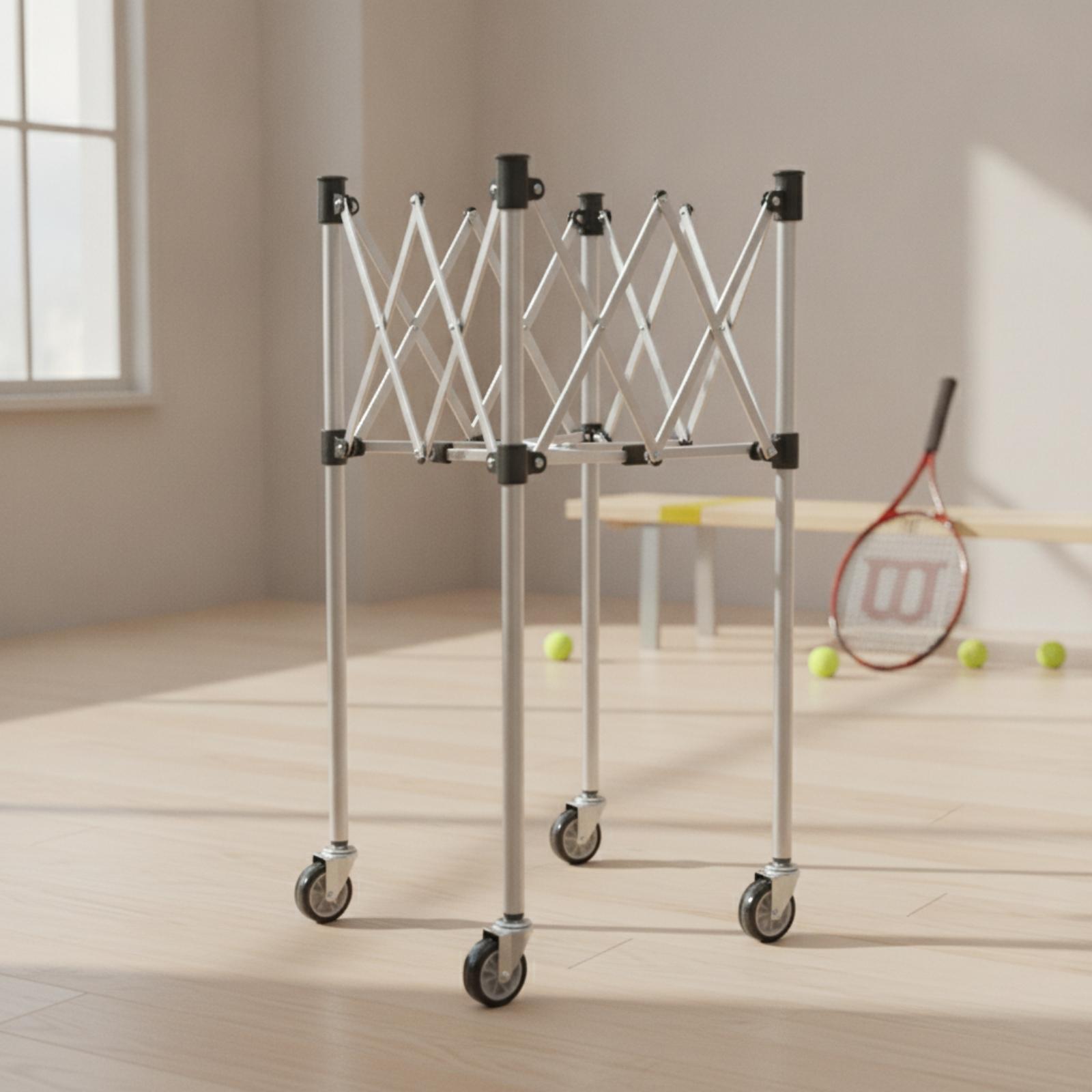 Ball Storage Cart Foldable Fol - Gym Ball review and price